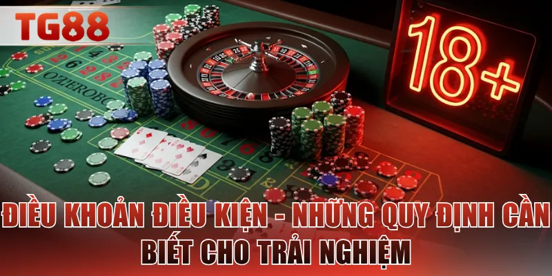 Điều khoản điều kiện - Những quy định cần biết cho trải nghiệm