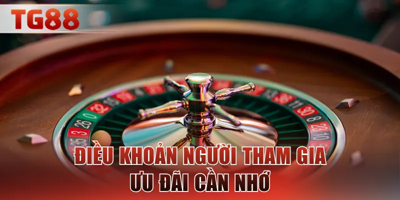 Điều khoản người tham gia ưu đãi cần nhớ