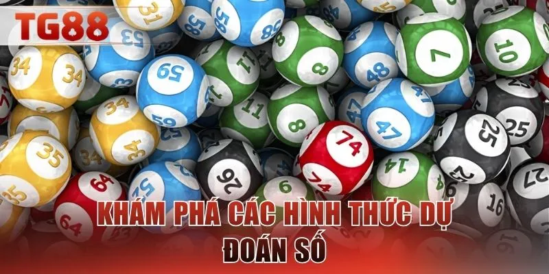 Khám phá các hình thức dự đoán số