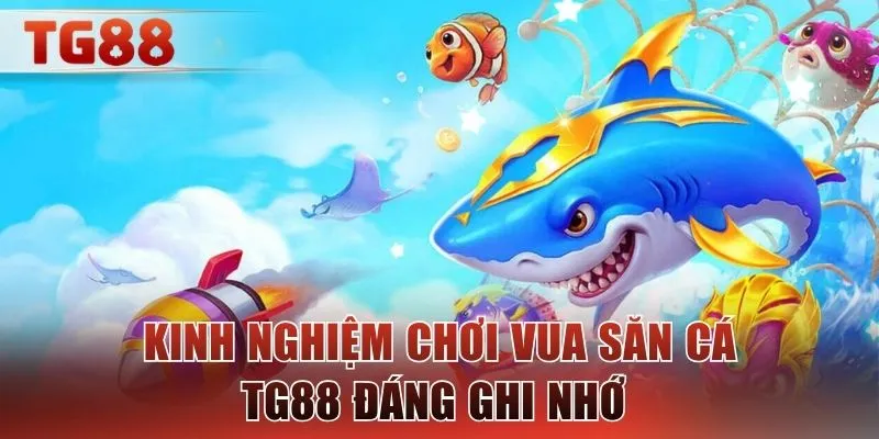 Kinh nghiệm chơi vua săn cá TG88 đáng ghi nhớ 