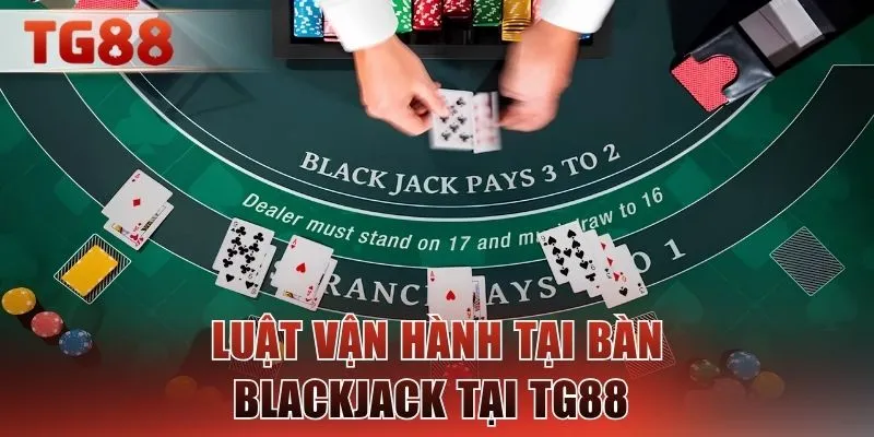 Luật vận hành tại bàn Blackjack tại TG88 