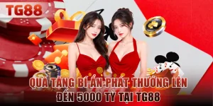 quà tặng bí ẩn