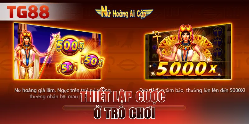 Thiết lập cược ở trò chơi