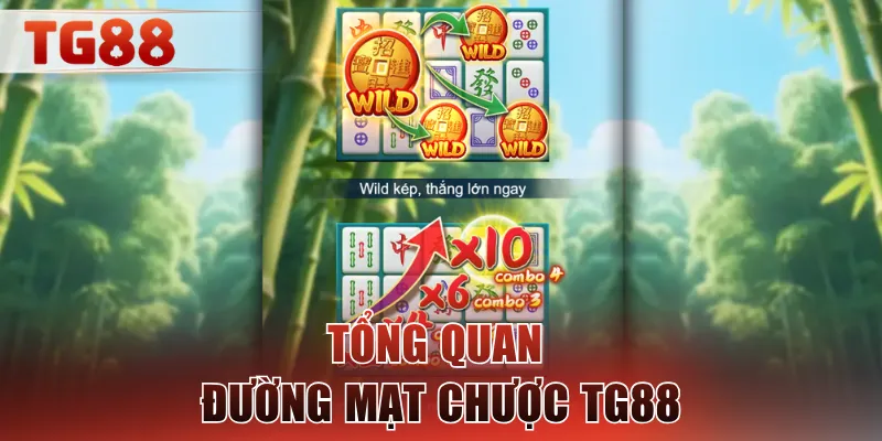 Tổng quan đường mạt chược TG88
